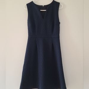J Crew Navy Blue Dress